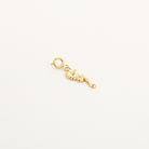 Bedel met zeepaardje