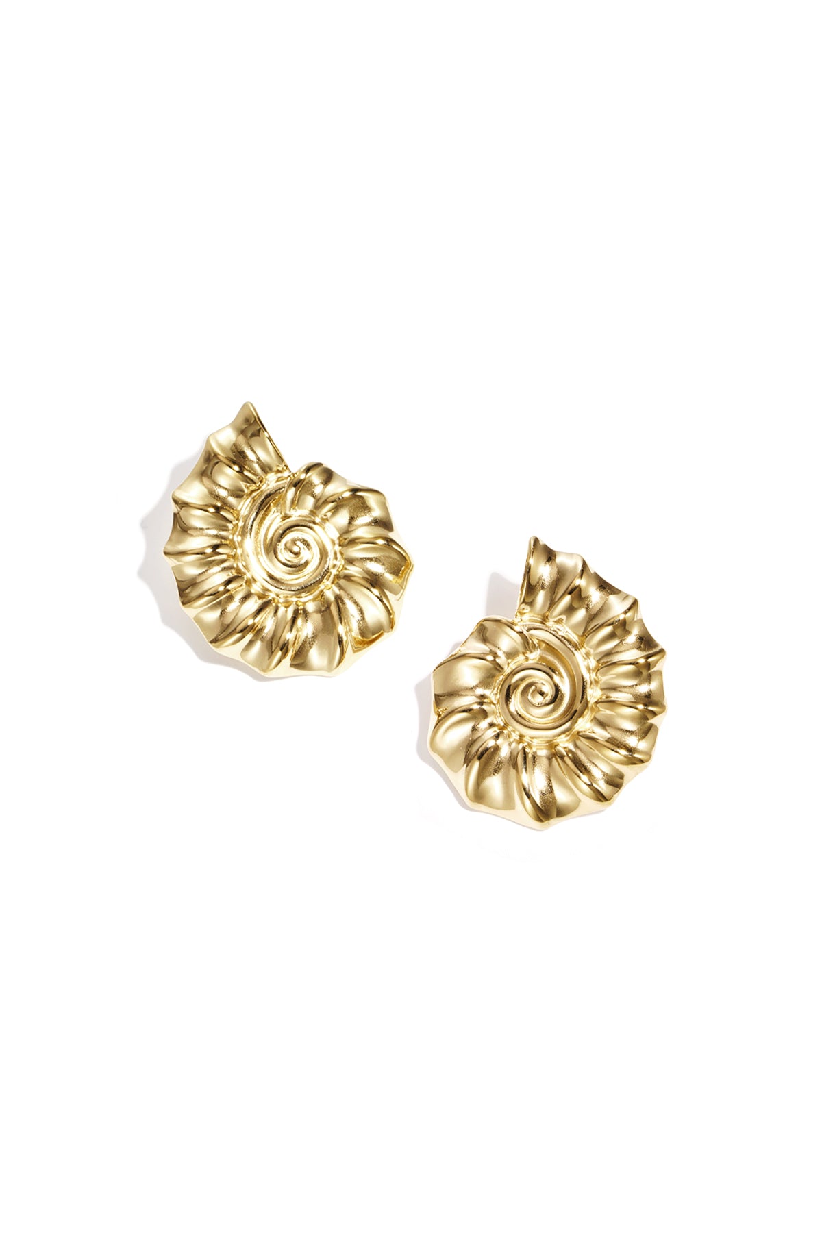 Statement oorbellen schelp
