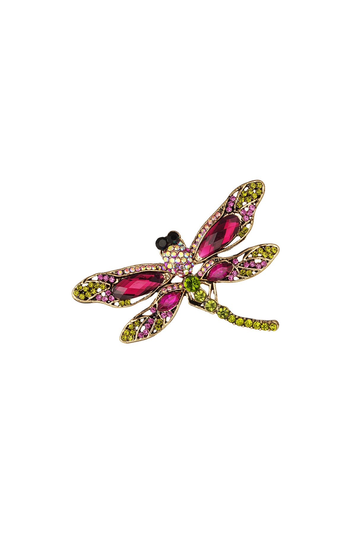 Broche met libelle