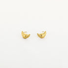 Oorknopjes croissant