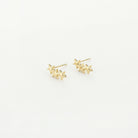 Oorknopjes sterretjes