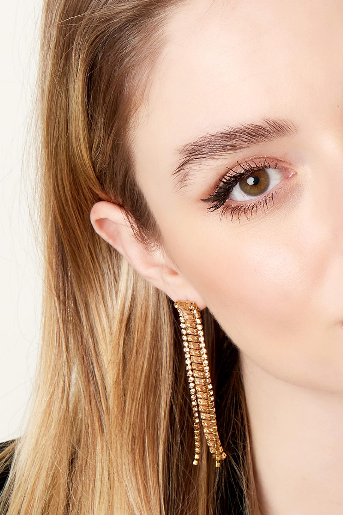 Statement oorbellen steentjes